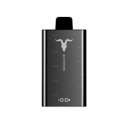 Descartvel Ignite V80 NE VERSO BLACK 8000 Puffs