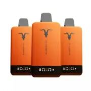 Descart�vel Ignite V55 Orange 5.500 puffs